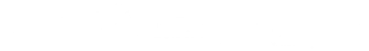 BluLight Consulting logo